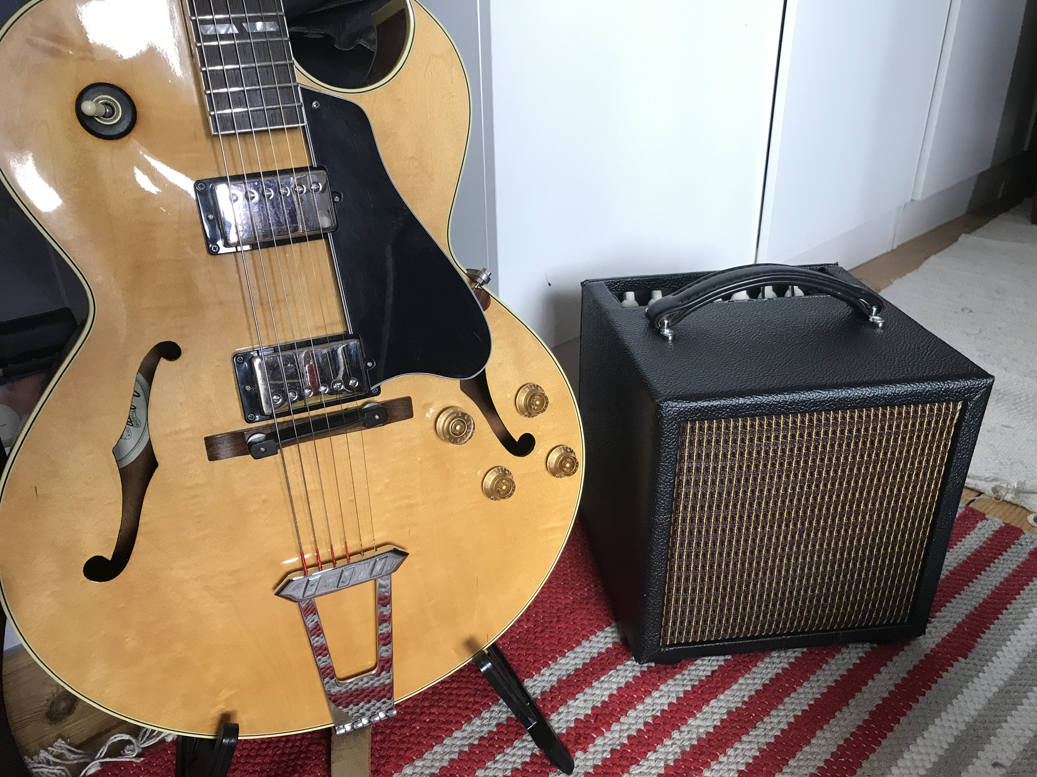 Can you show me your 1x8" guitar amp?-07b23520-29a1-49bb-8e86-d57f8952b22d-jpeg