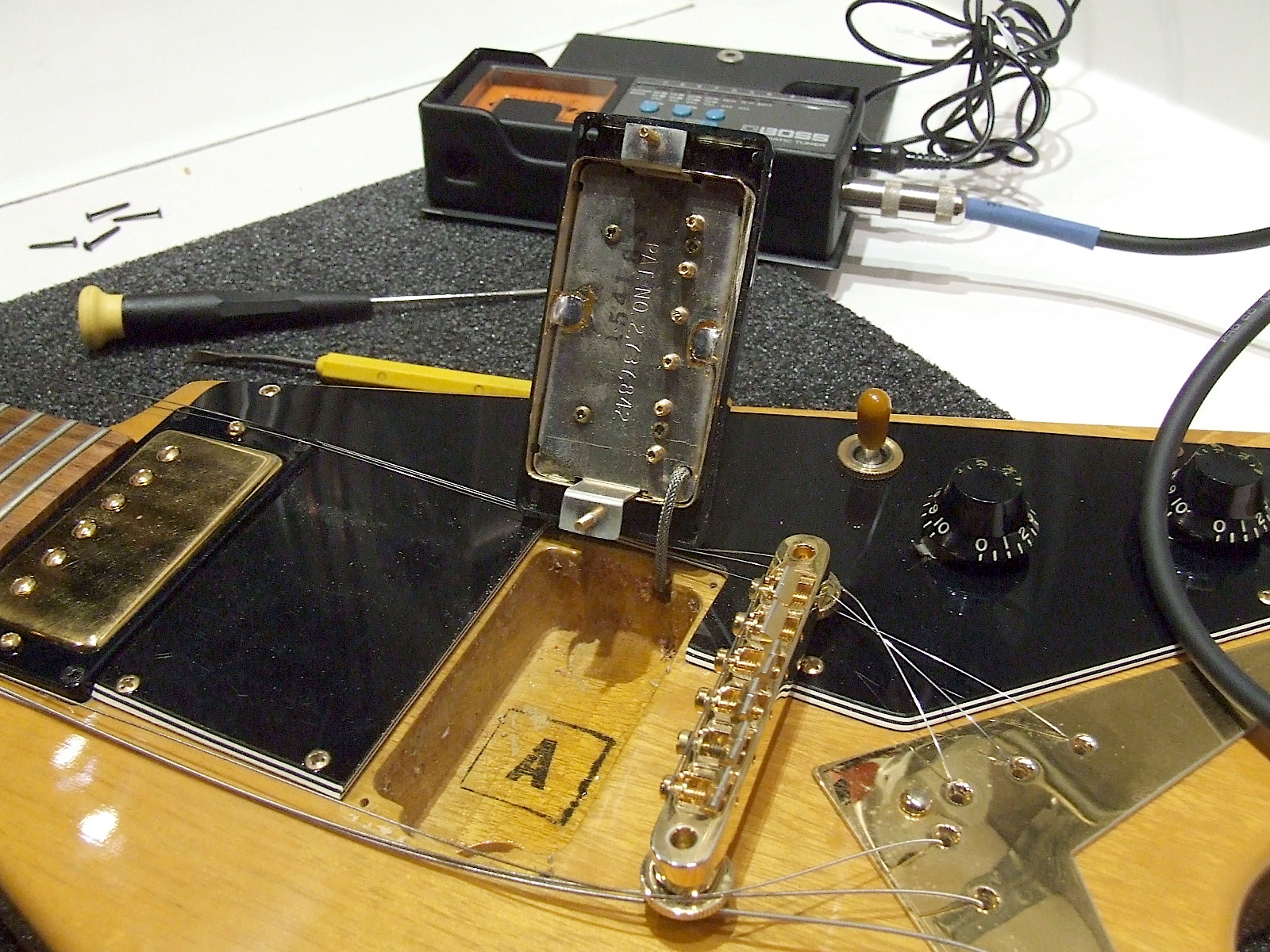 Gibson Patent Pickups-shaw-pickup-v-korina-jpg