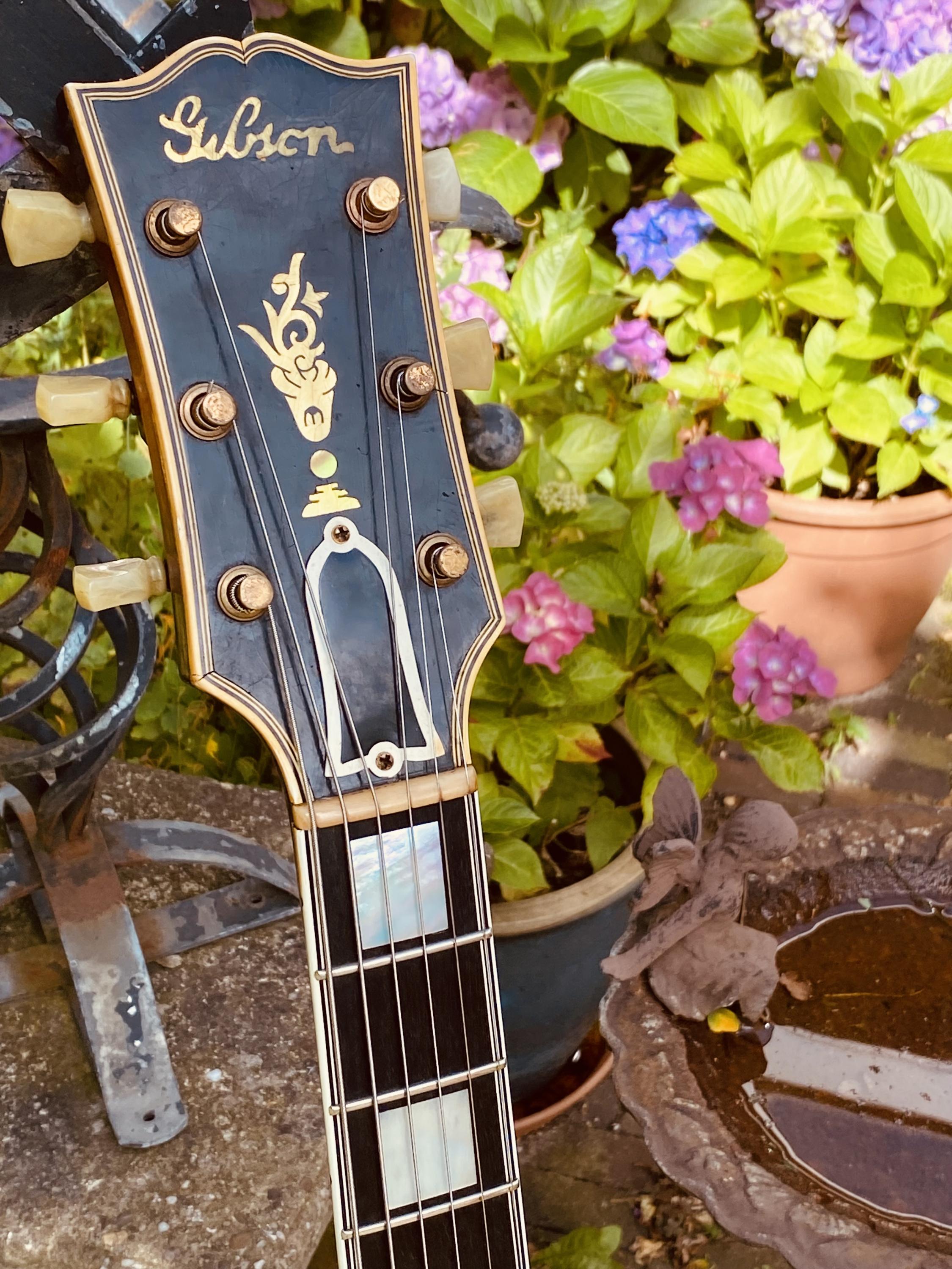 1946 Gibson L5-img_3646-jpg