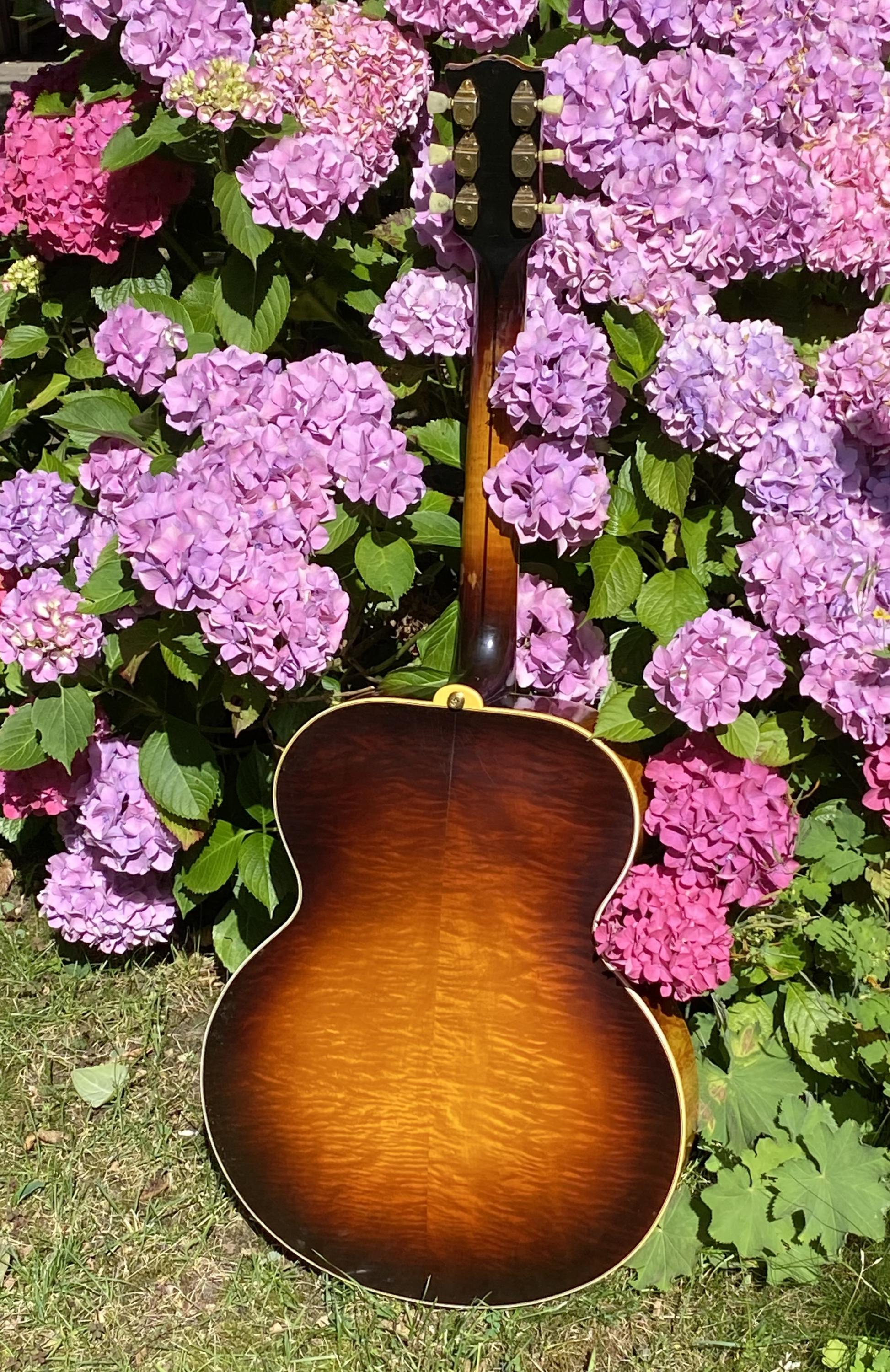 1946 Gibson L5-img_3626-jpg