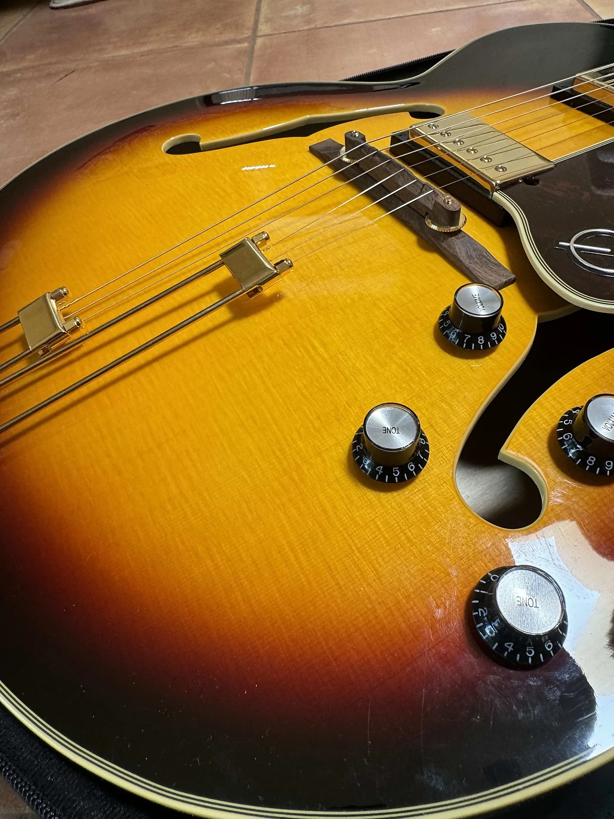 NGD...Almost-xahuzd0mvz9male4s28b-jpg
