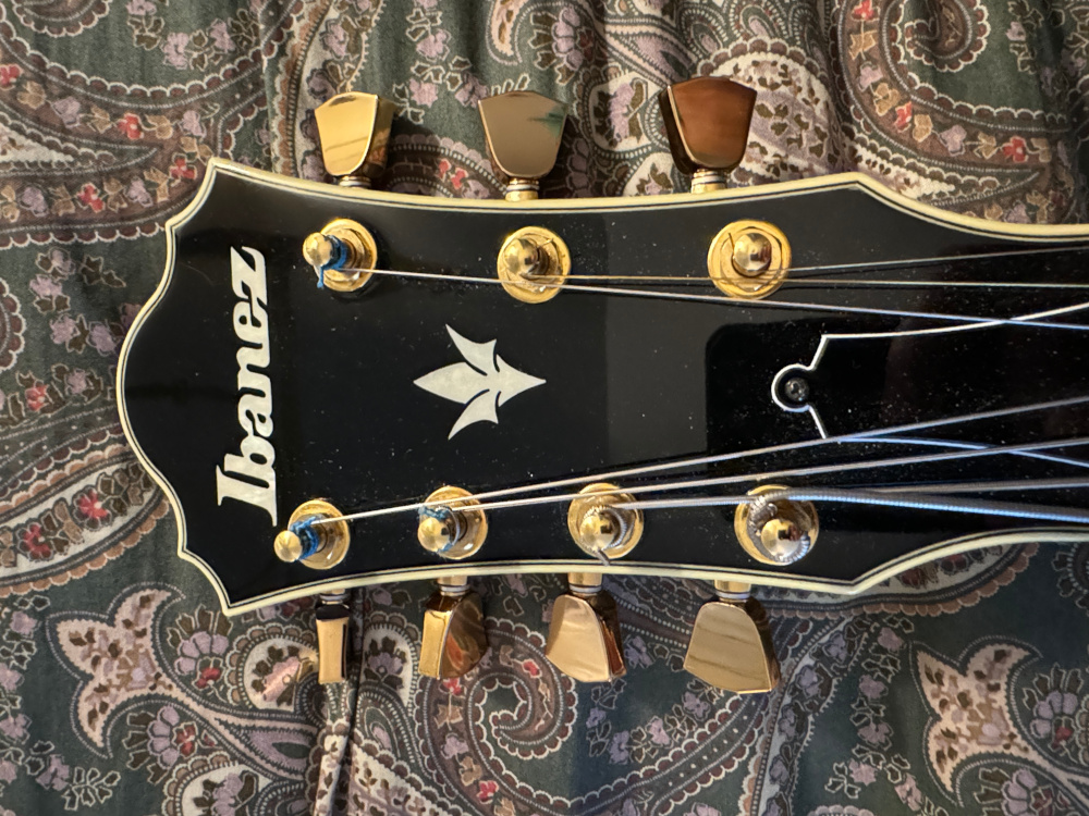 "Upgraded" to gold WD tuning buttons &amp; loving them!-wd_peghead_front-jpeg