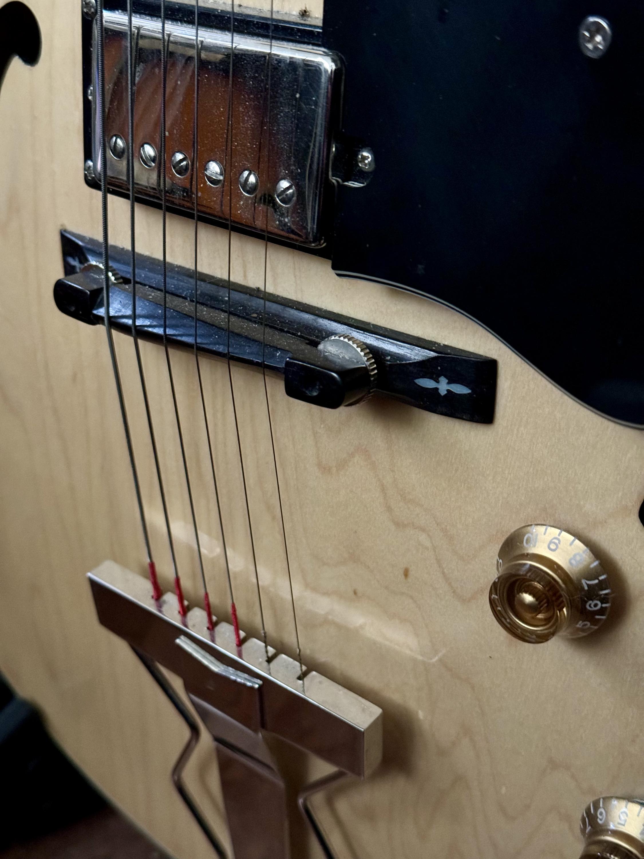 Getting the "most woody/hollow" sound out of electric archtop?-img_2643-jpg