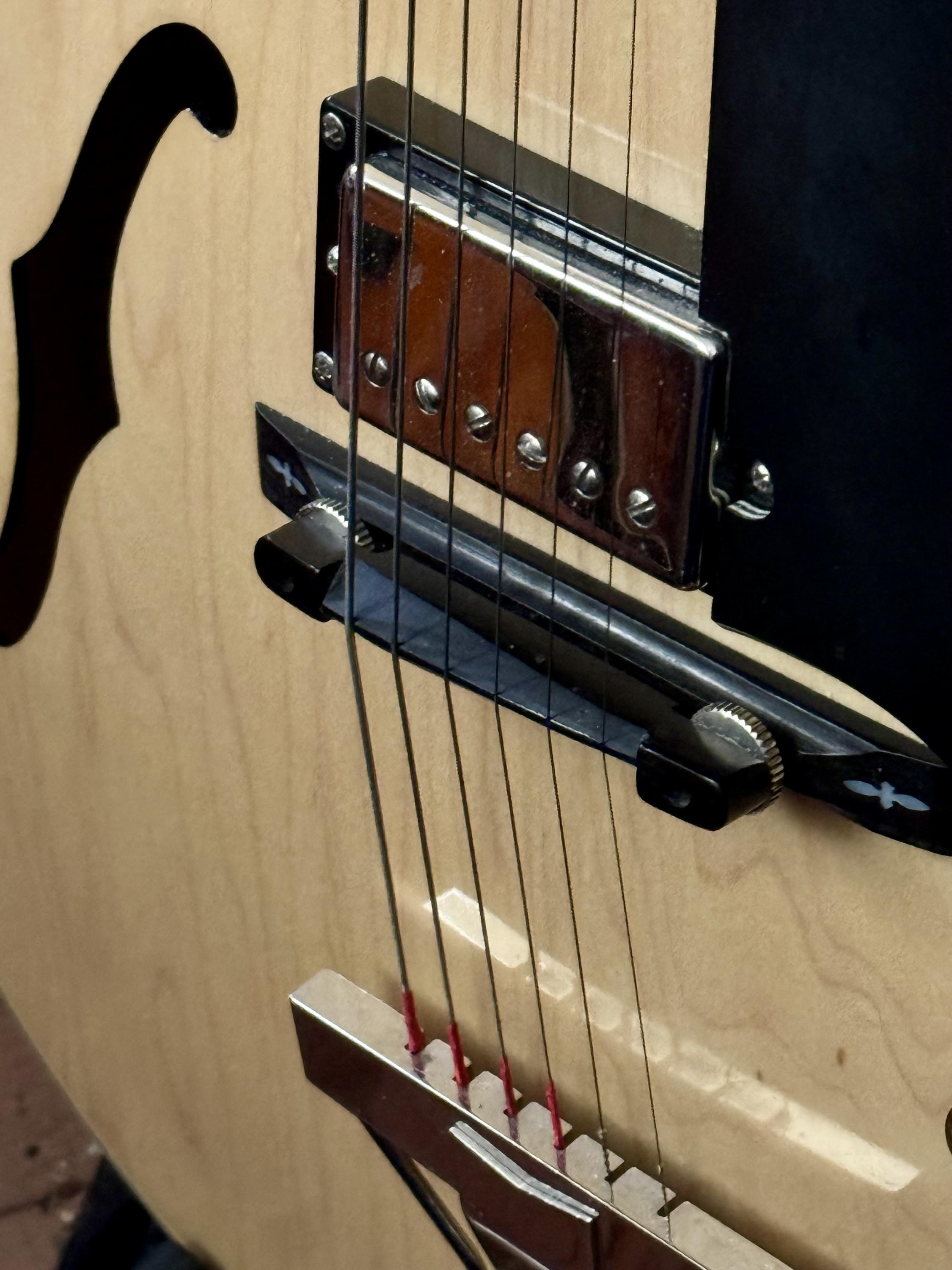 Getting the "most woody/hollow" sound out of electric archtop?-img_2645-jpg
