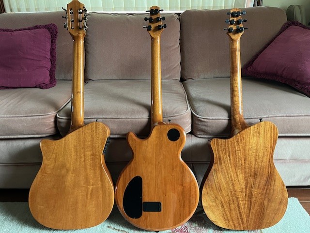 EDIT: The Carvin Fatboy has arrived! (with recording)-carvins-backs2-jpg