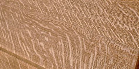 Spruce?-th-3857124634-jpg