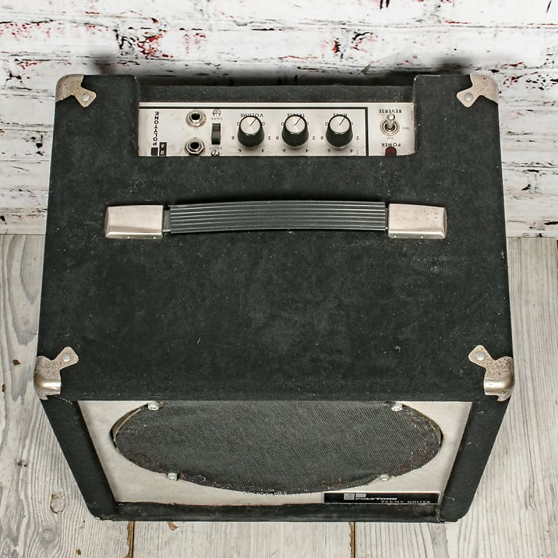 Polytone Afficianados - Teeny Brute Opinions-wdotsgkg5eg32uvtomdd-jpg
