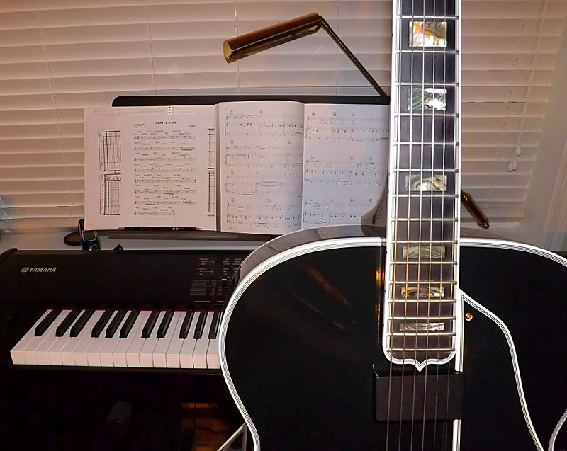 Show Me Your Black Archtop-img_1900-jpeg