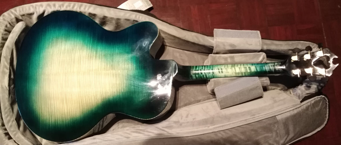 Green (Blue) Archtop-green-blue-back1-png