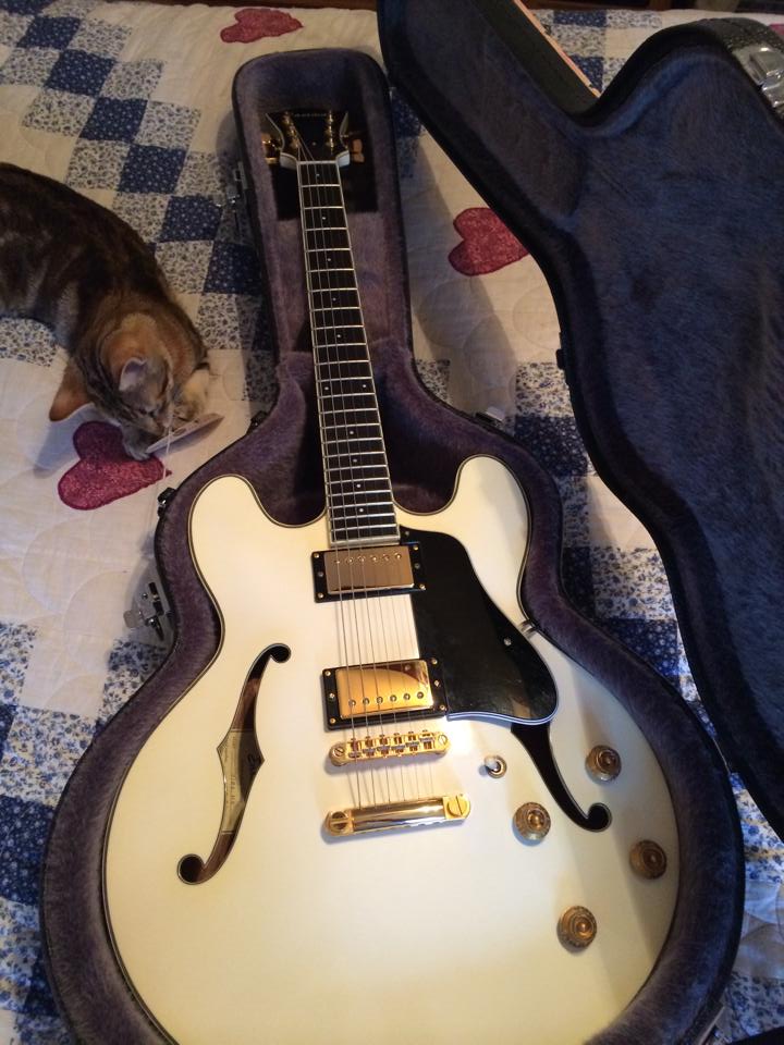 Anyone Pimp Their Eastman?-1544591_10152185373937239_1515935674062668360_n-jpg