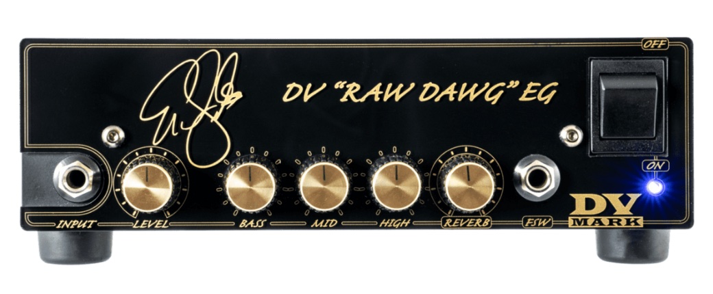 Can you show me your 1x8" guitar amp?-dv-mark-raw-dawg-jpg