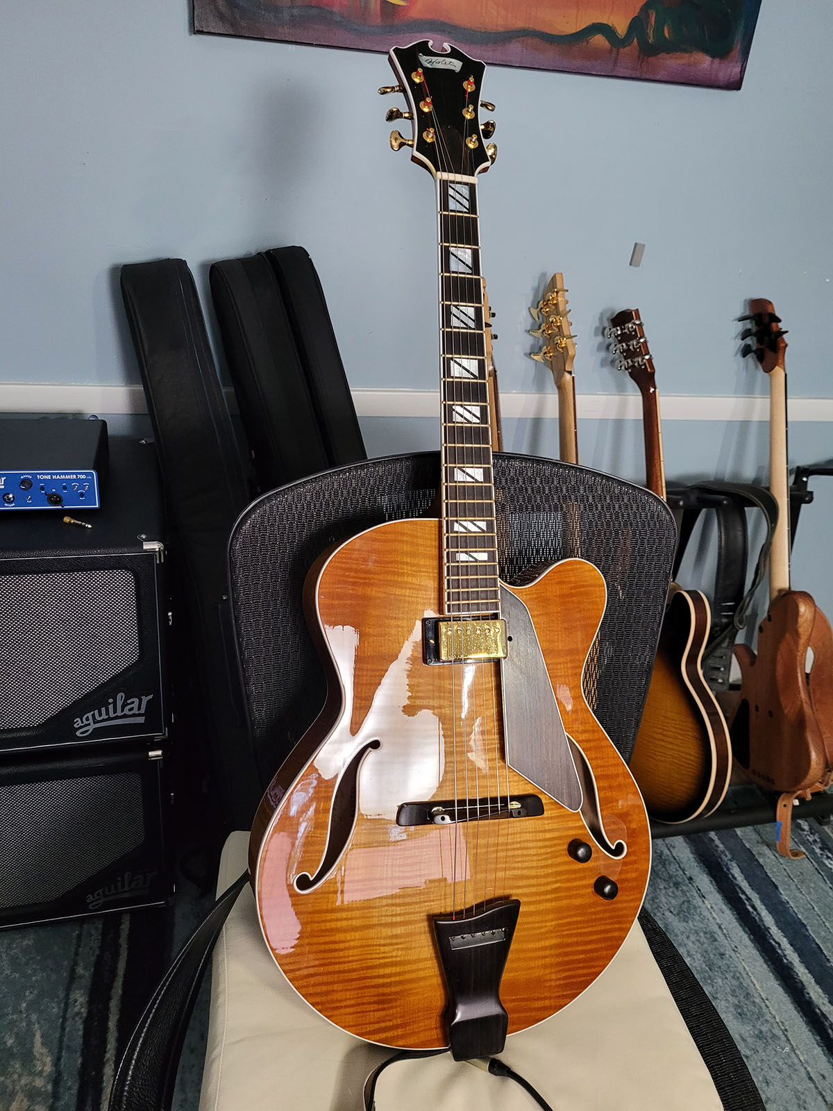 Steve Holst - Jim Hall mini review-20241111_074826-jpg
