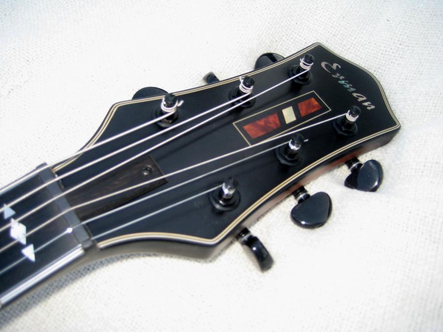 Carved Archtop Recommendations-img_7183-jpg