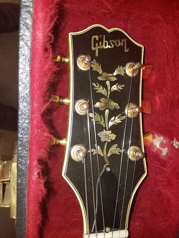 The best LOOKING guitar you own......-54179578584_38d3918afc_c-jpg