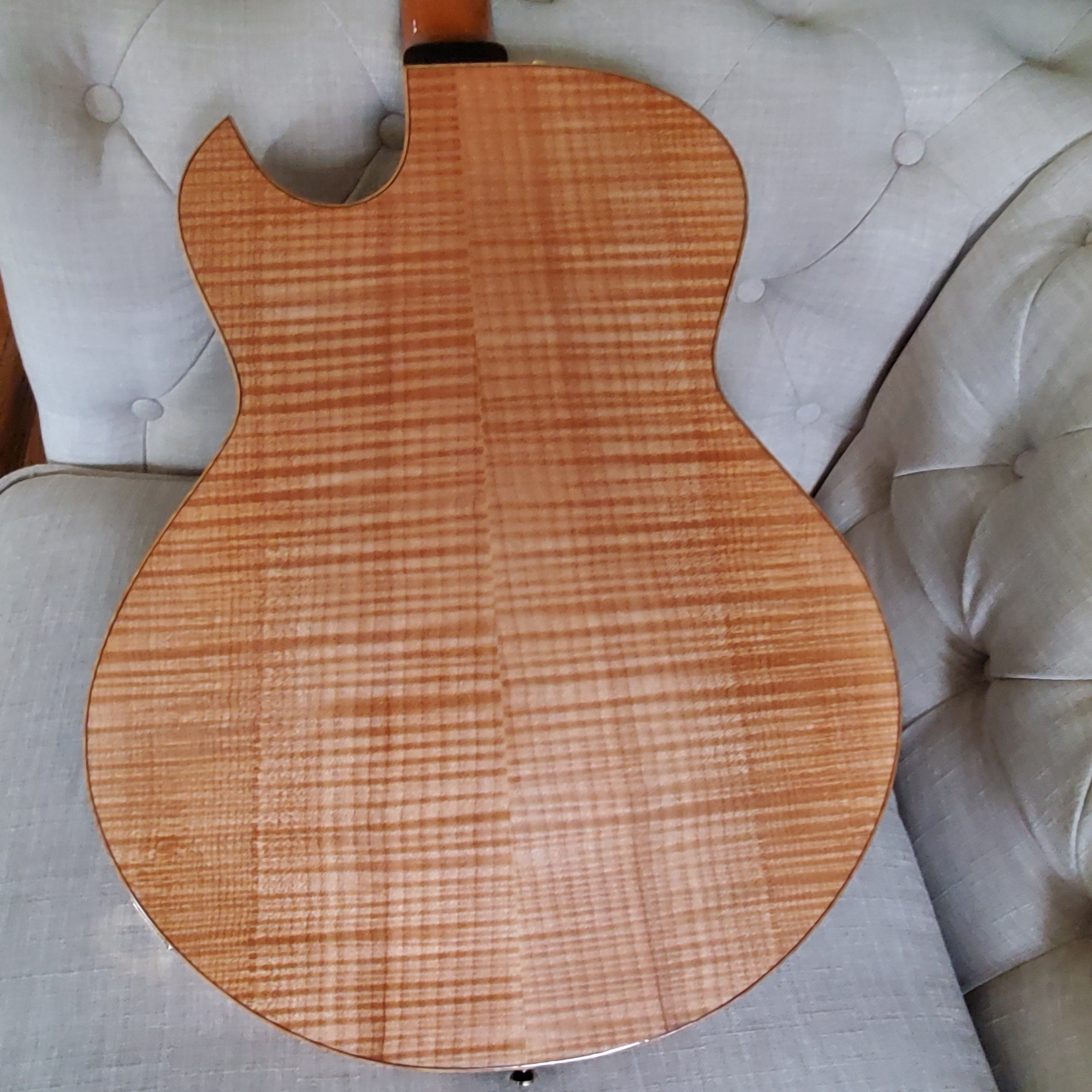 The best LOOKING guitar you own......-holst-back-jpg