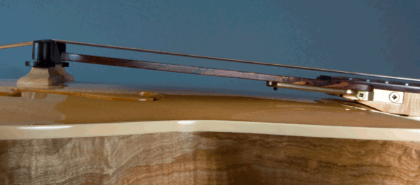 Pickguard Attachment?-dsc_0150_2-gif