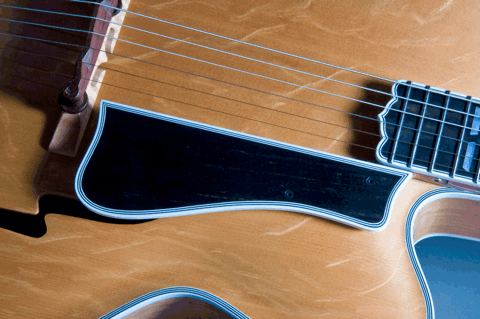 Pickguard Attachment?-dsc_0174-gif