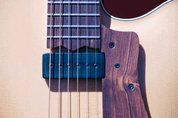 Pickguard Attachment?-dsc_0003-gif