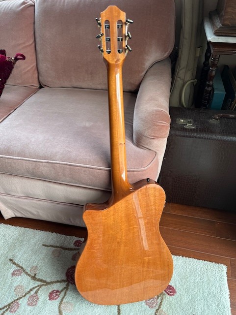 The best LOOKING guitar you own......-cl450-2-jpg
