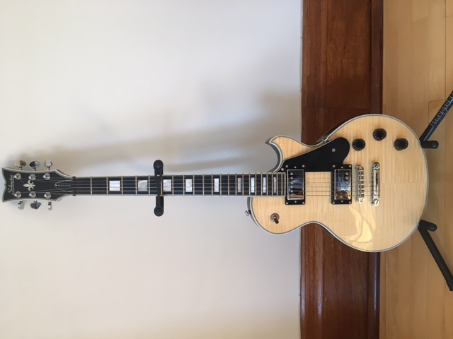 POLL: what type of guitar do you mainly play for jazz?-img_1643-jpeg