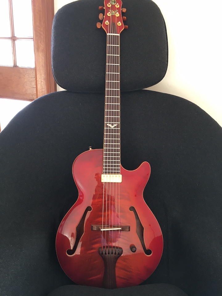 POLL: what type of guitar do you mainly play for jazz?-img_1817-jpeg
