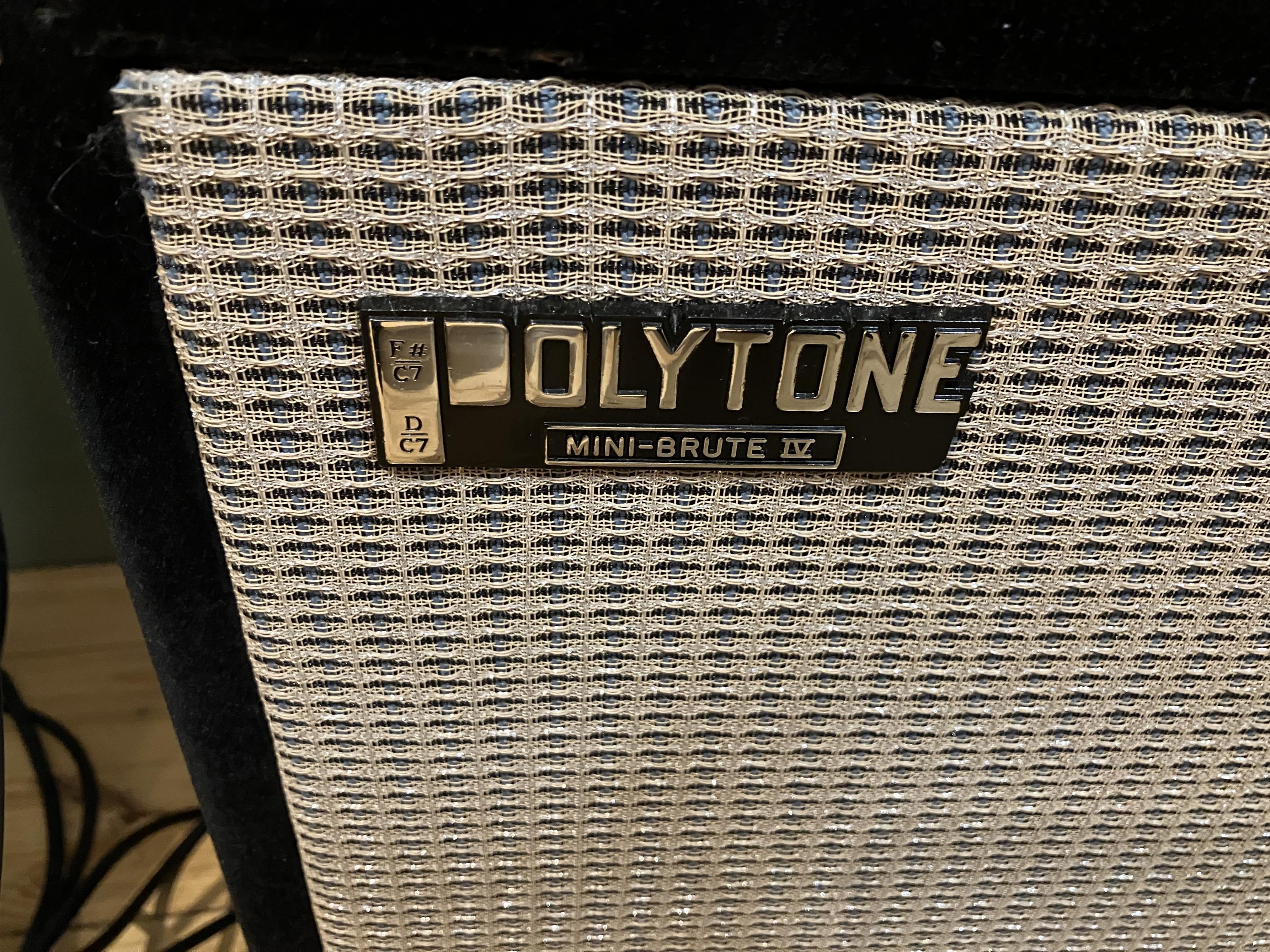 Polytone Afficianados - Teeny Brute Opinions-img_0420-jpg
