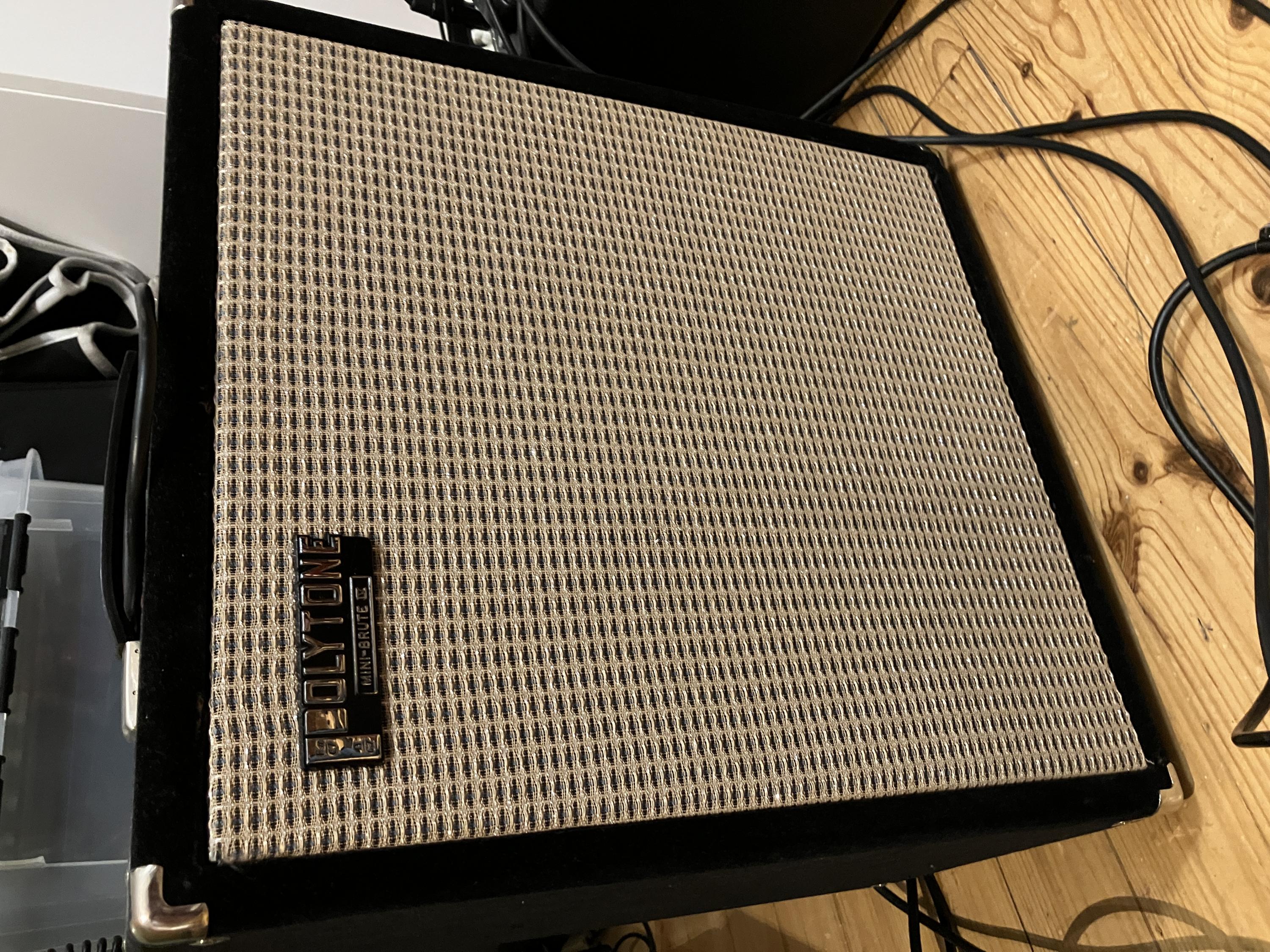 Polytone Afficianados - Teeny Brute Opinions-img_0421-jpg