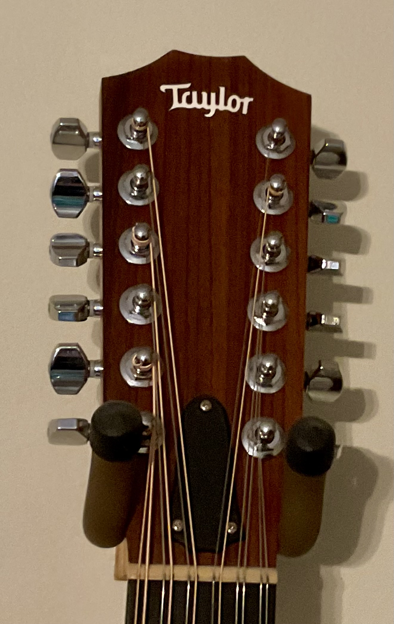 Truss Rod Covers-img_0483-jpeg