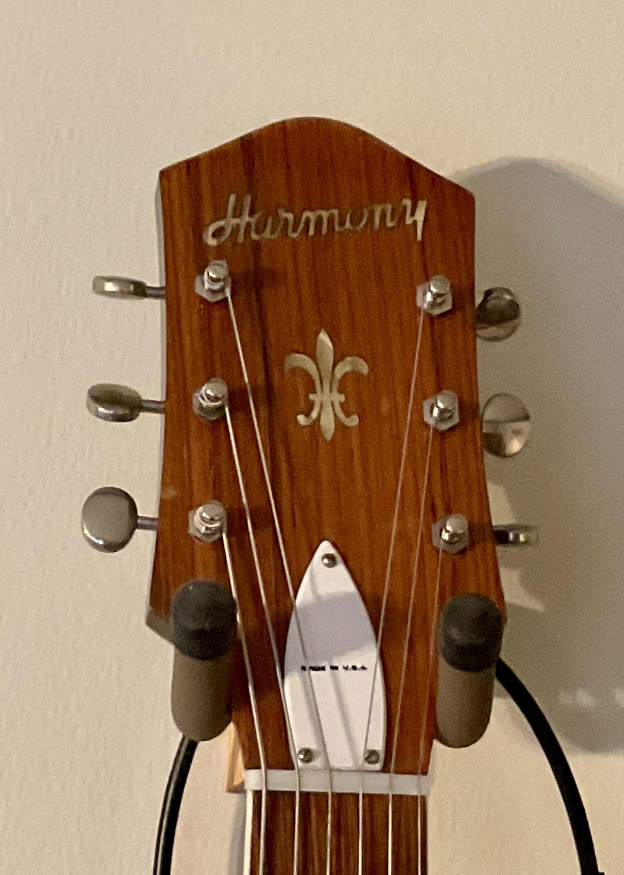 Truss Rod Covers-img_0480-jpg