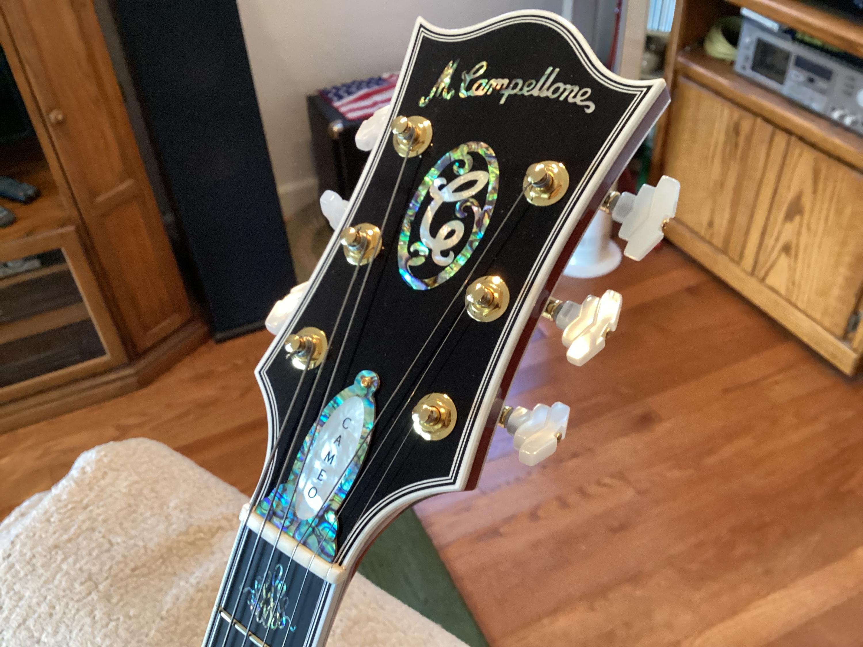 Truss Rod Covers-img_0535-jpg