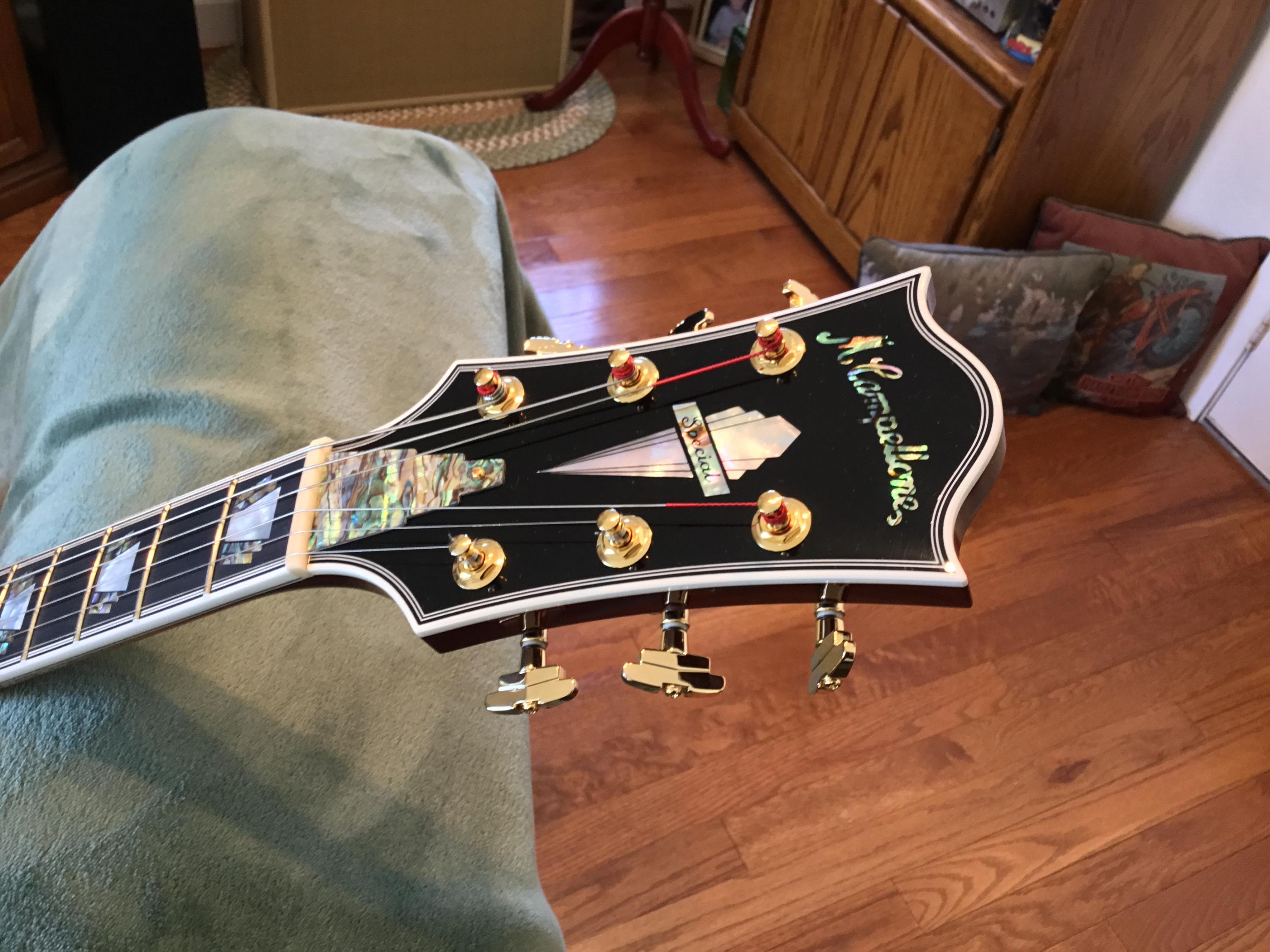 Truss Rod Covers-img_0414-jpg