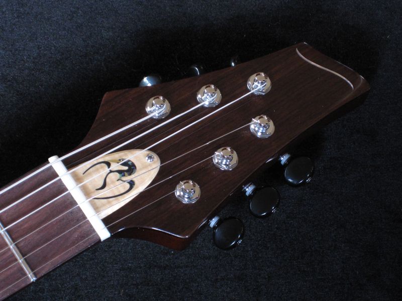 Truss Rod Covers-loonk4peghead-800-jpg