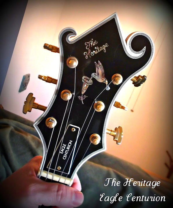 Johnny Smith Rose Artifacts-dscf0386-jpg