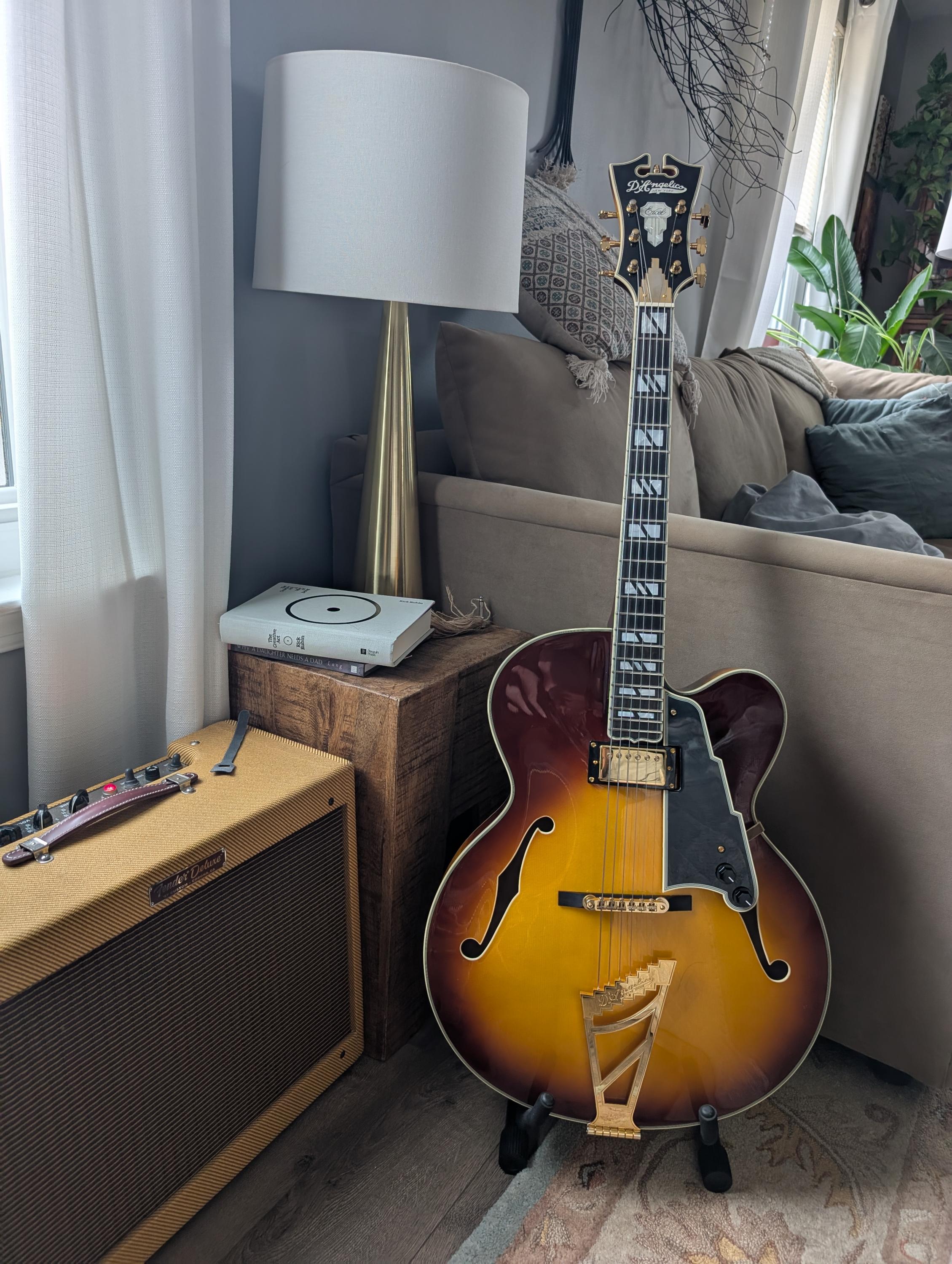 Vestax DAs - Any with built in humbuckers?-pxl_20250110_184107345-jpg