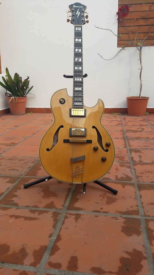 PICKUPS for an Ibanez PM 120-pm120-jpg