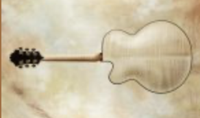 My First Archtop!!!!!-smallrear-png