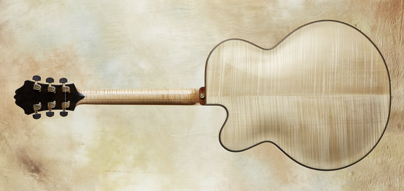 My First Archtop!!!!!-22composer22-full-viewofback-png