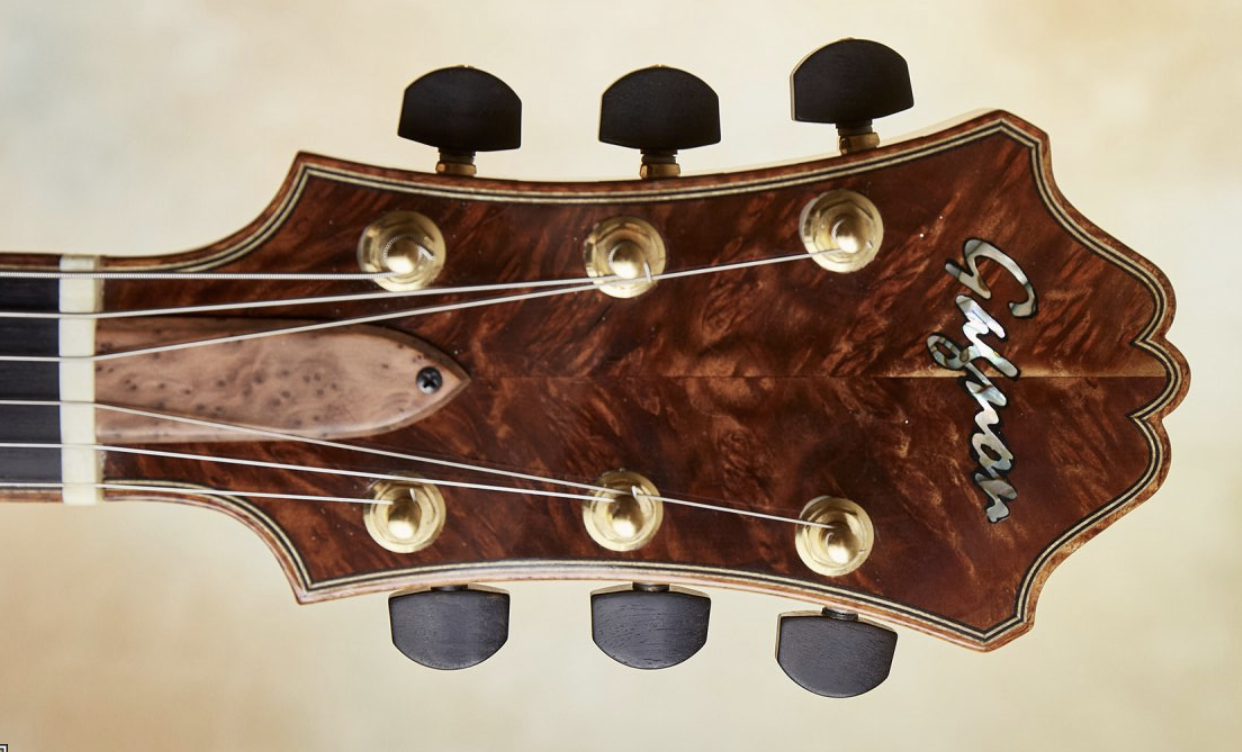 My First Archtop!!!!!-headstockfront-png