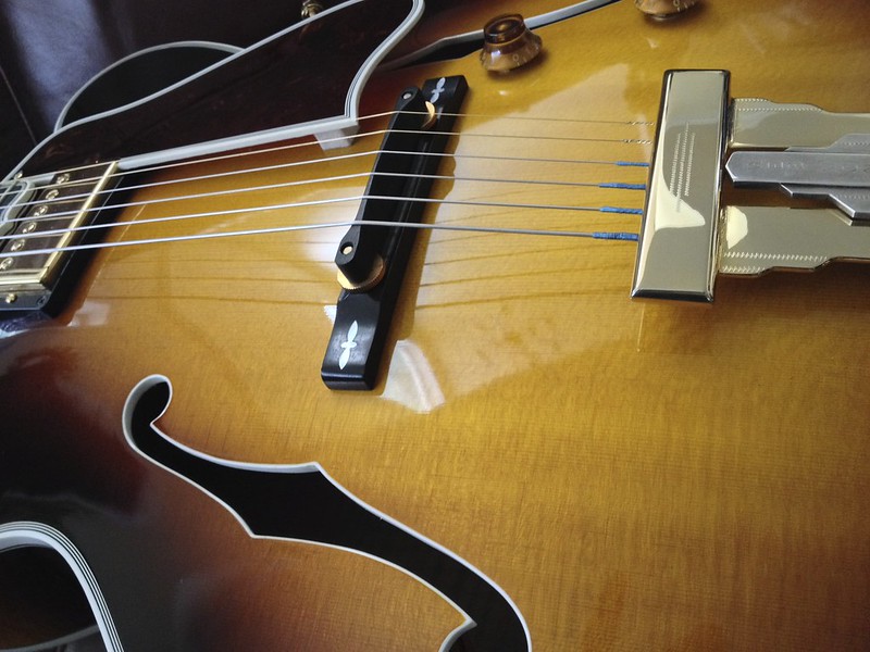 What is this Pickguard Cushion called?-img_1897-jpeg