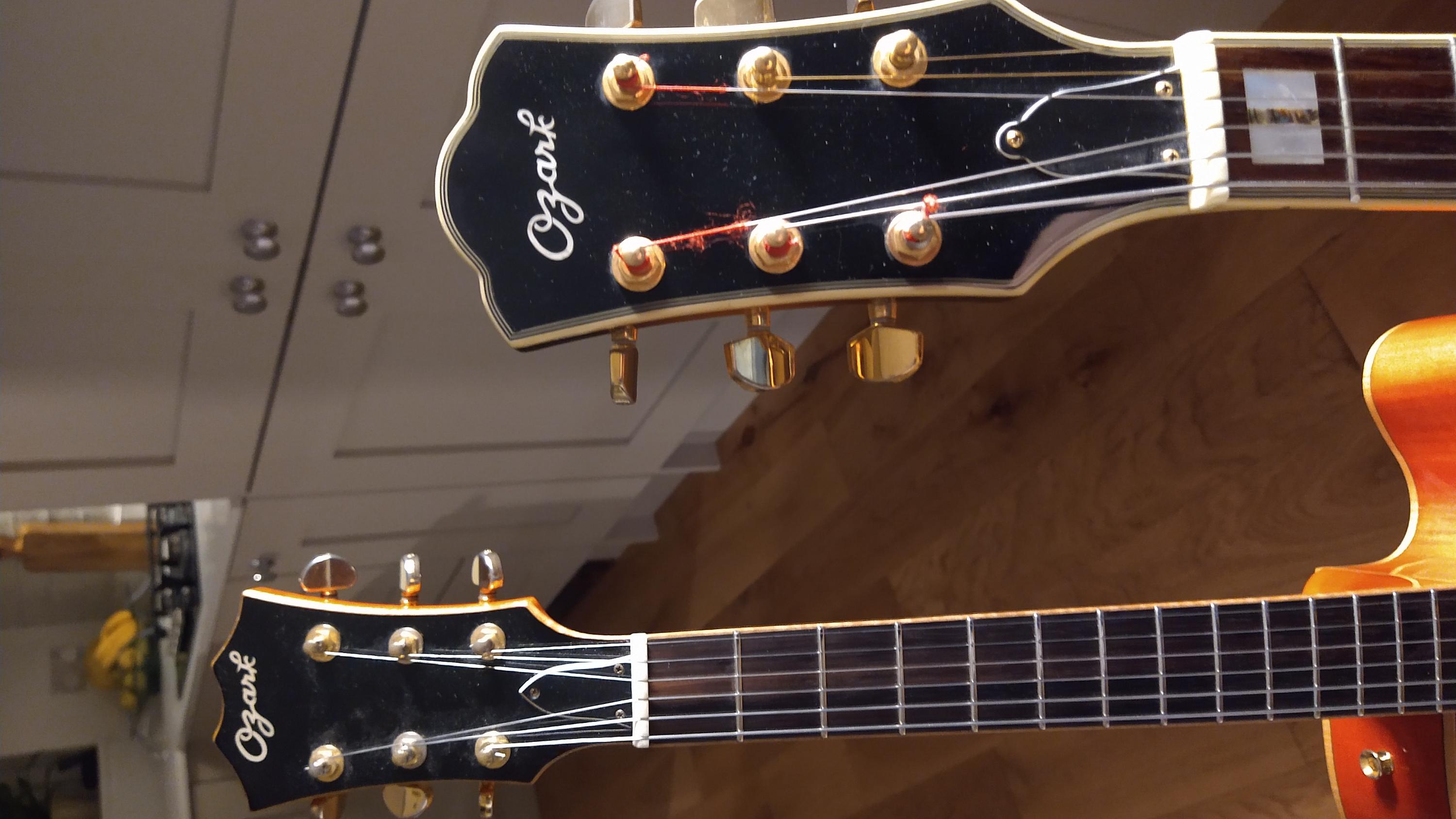 Ozark Archtop - Inexpensive, laminated top, but sounds ok?-img_20250206_213549256-jpg