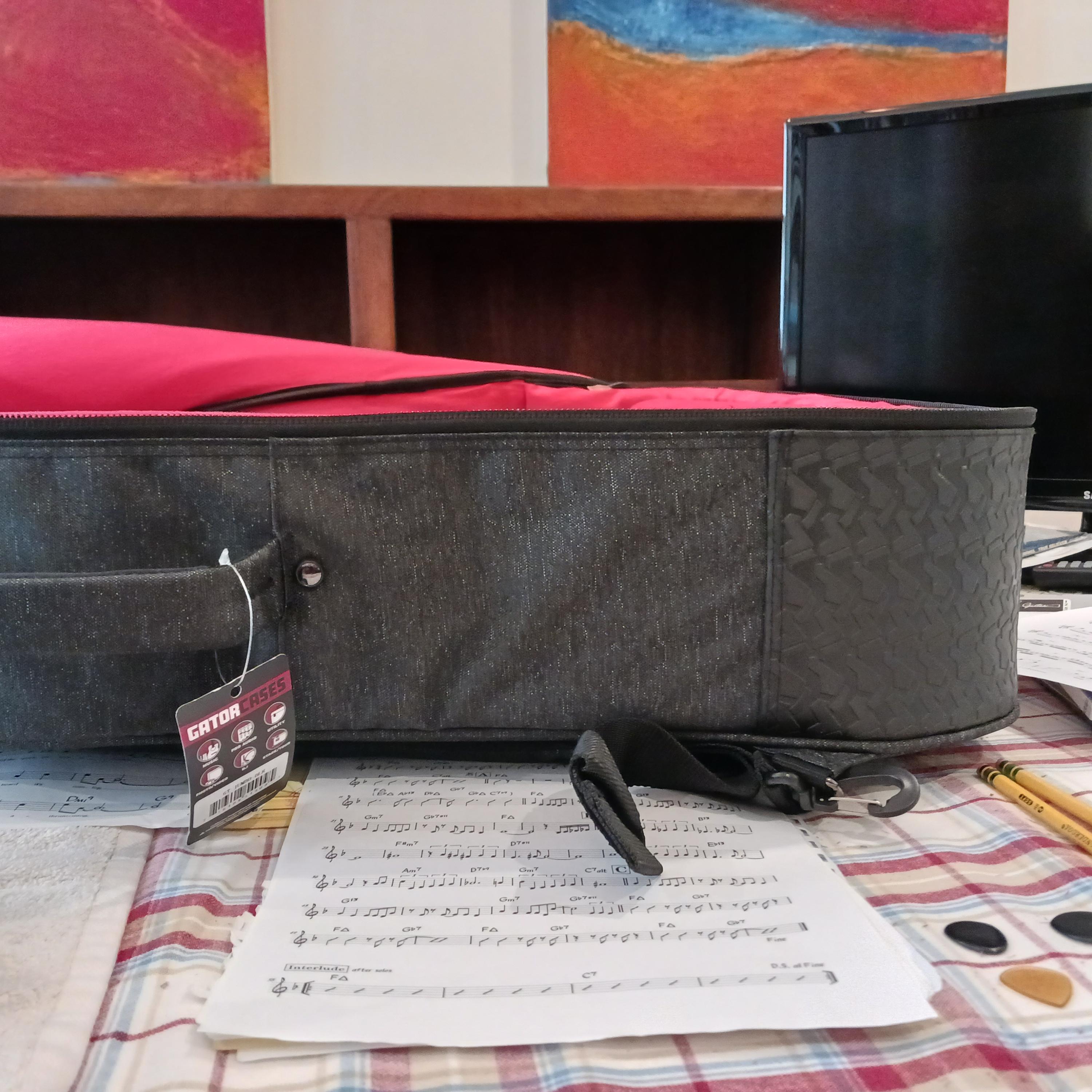 Archtop 17 " gigbag-ge-case-1-jpg