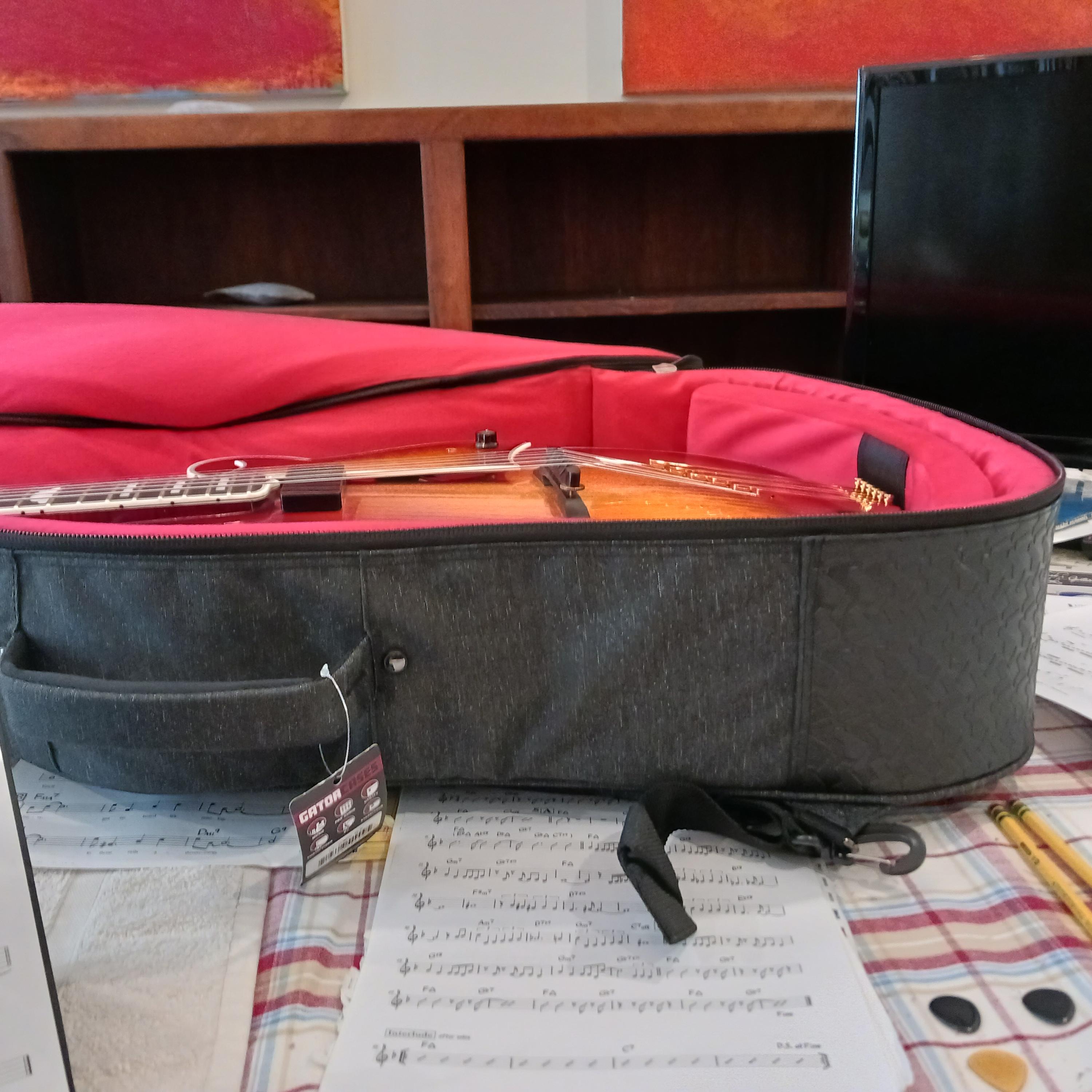 Archtop 17 " gigbag-ge-case-2-jpg