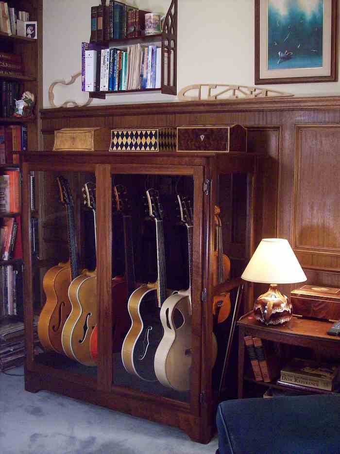 Guitar Display Case And Humidity Control