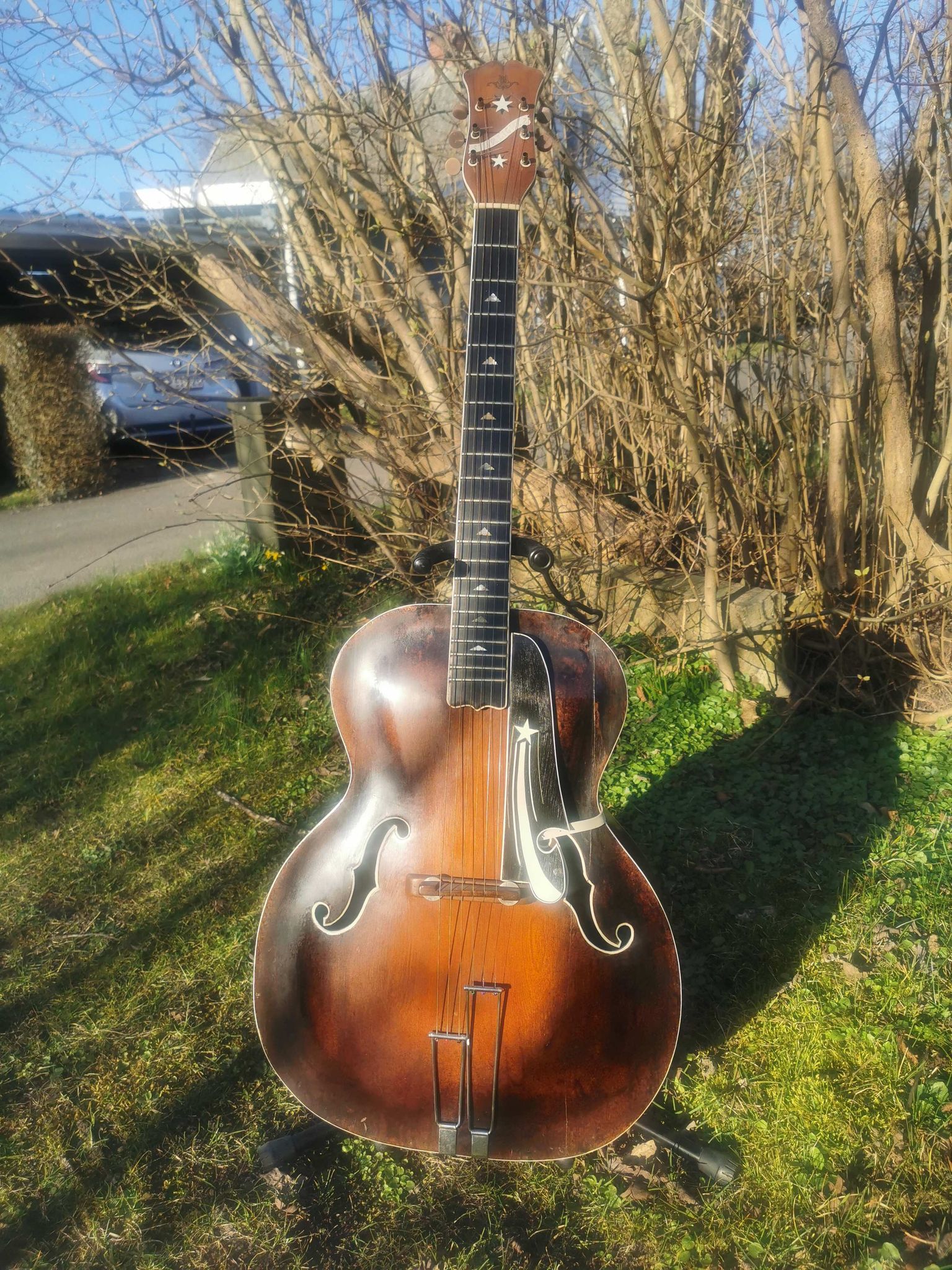 Any other fans of Danish archtops?-2406-jpg