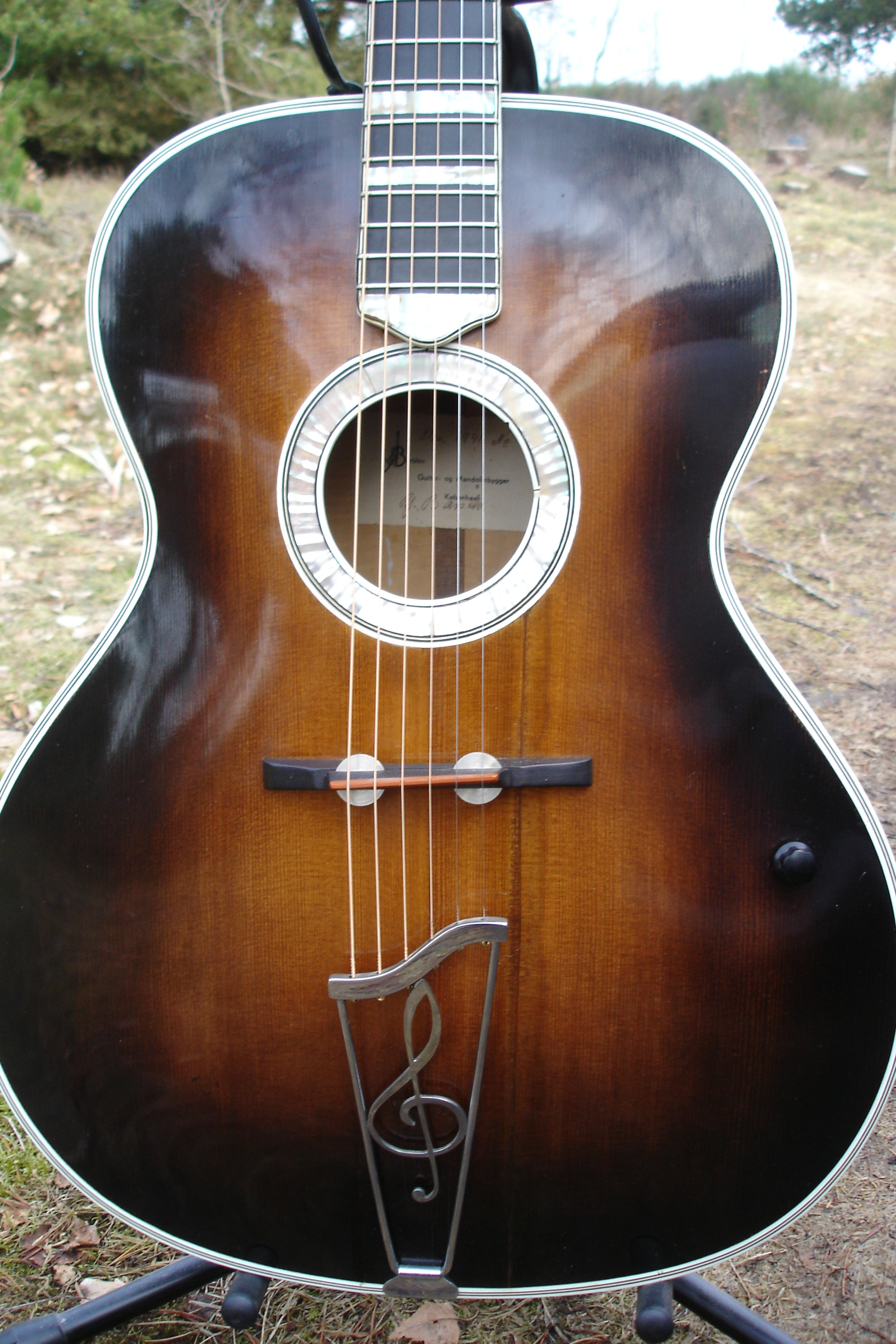 Any other fans of Danish archtops?-2310-jpg