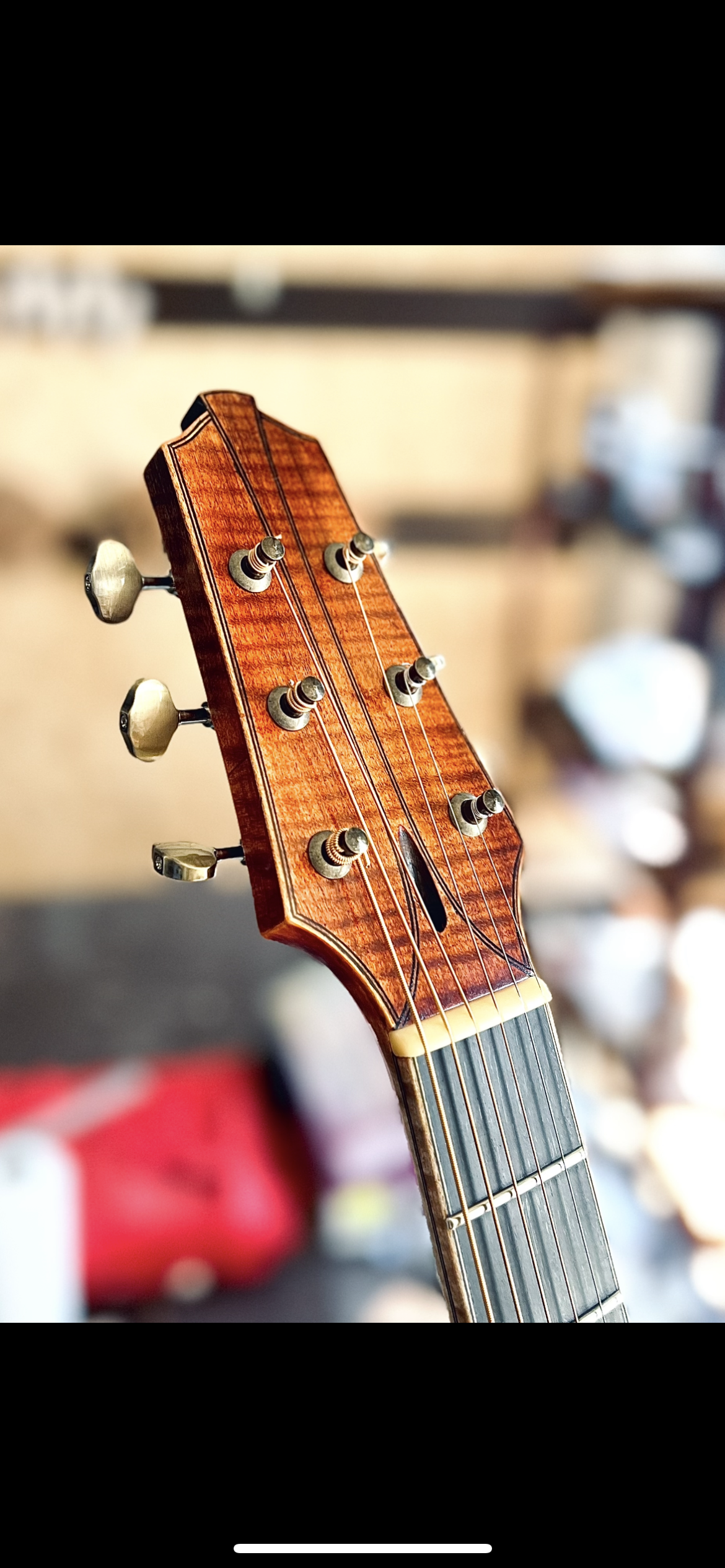 &ldquo;WHAT IF&hellip;&rdquo; - Archtop guitar from the 1700, more or less :-)-img_2954-png