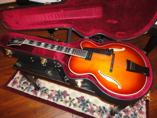 Floating pickup - Bartolini vs Benedetto-dsc02399-jpg