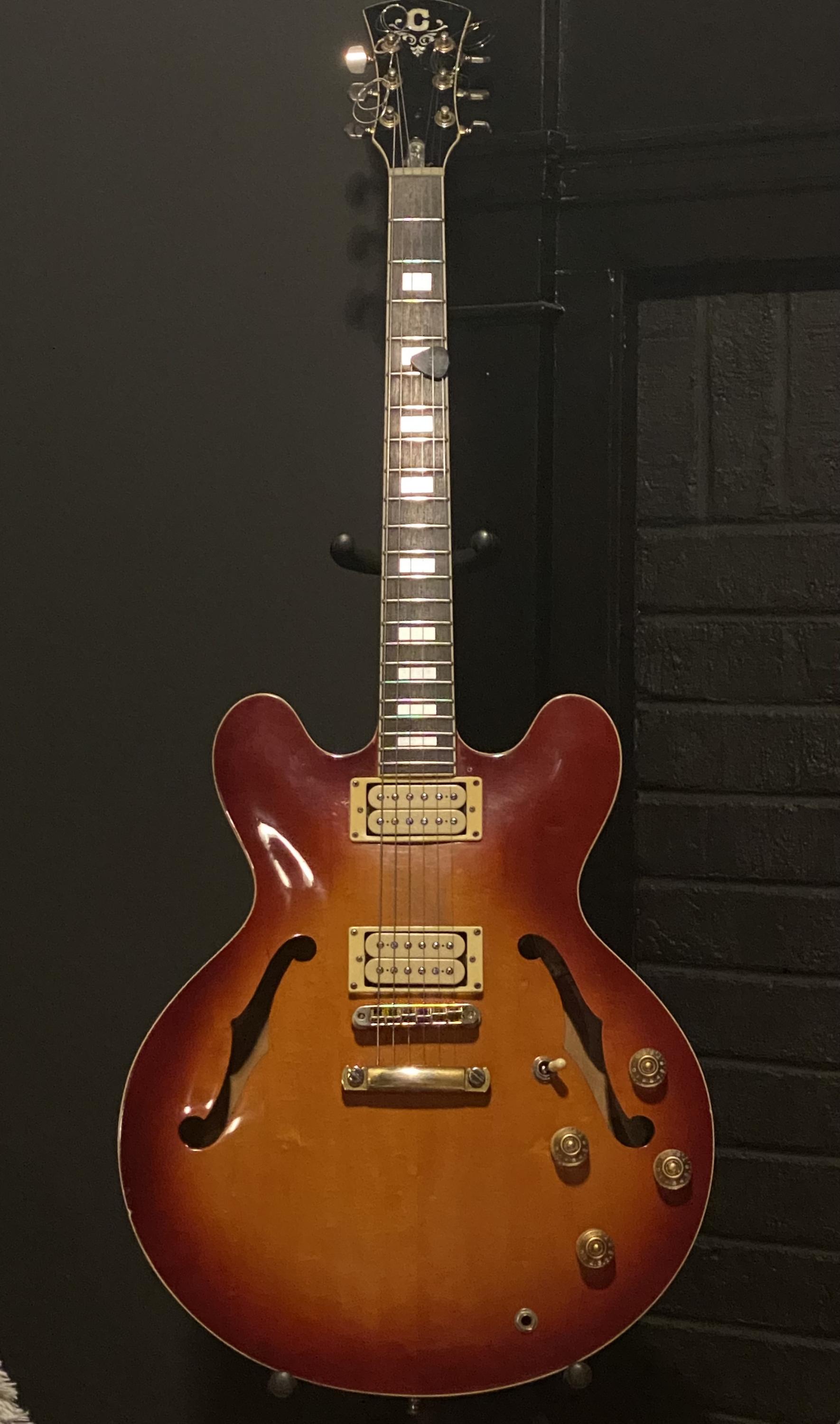 Alternatives to the Gibson ES-335-img_3895-jpg