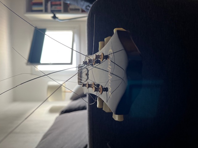 Epiphone Zephyr Regent-img_0345-jpg