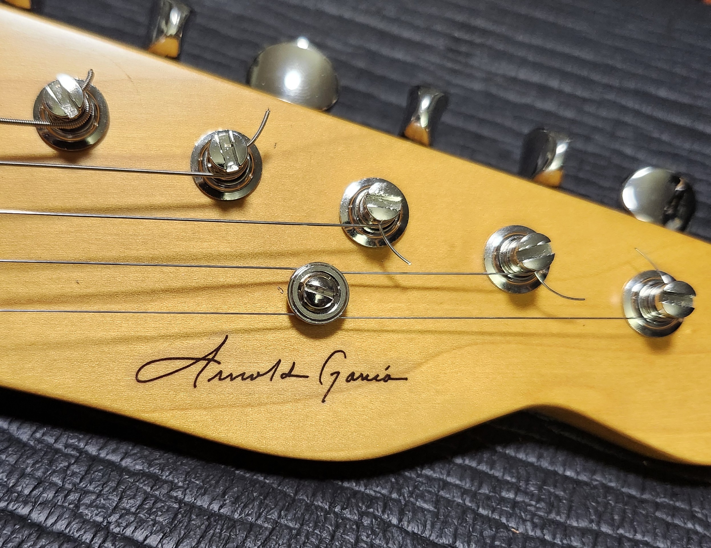 Building a Jazz Tele-20250819_205429-jpg